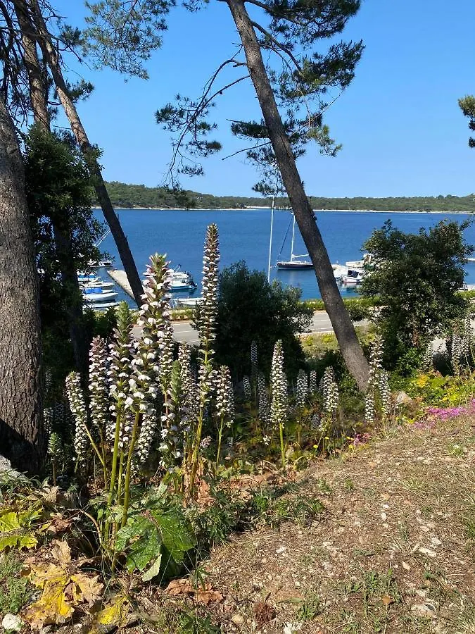 Apartments Tasha Mali Lošinj 0*,  Kroatien